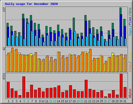 Daily usage for December 2020
