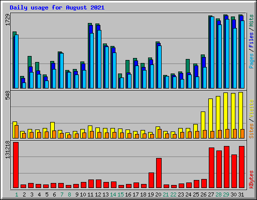 Daily usage for August 2021