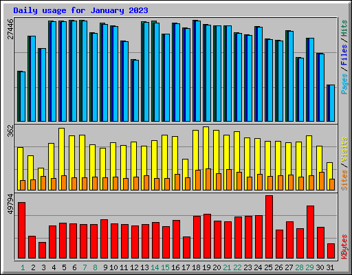 Daily usage for January 2023