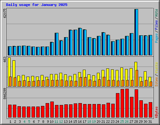 Daily usage for January 2025