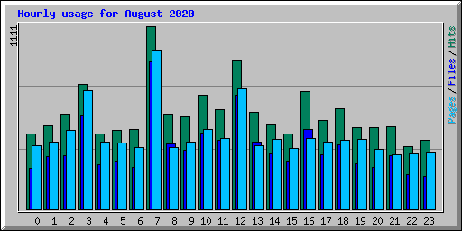 Hourly usage for August 2020