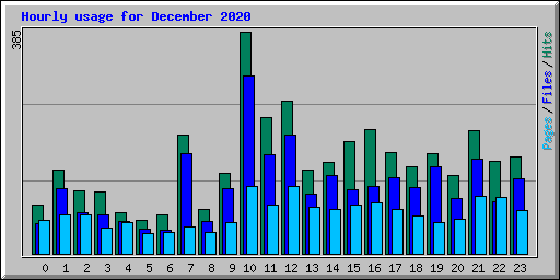 Hourly usage for December 2020
