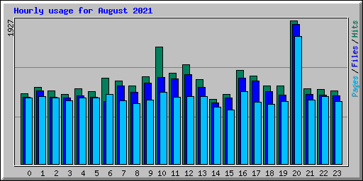 Hourly usage for August 2021