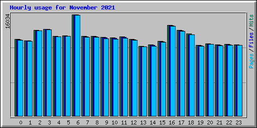 Hourly usage for November 2021