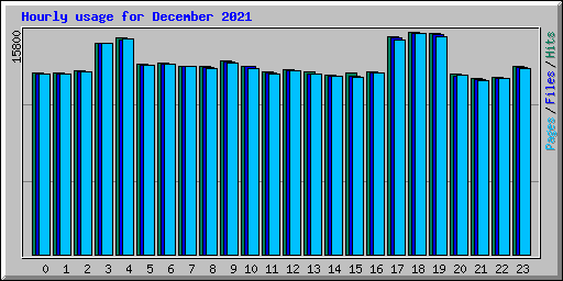 Hourly usage for December 2021