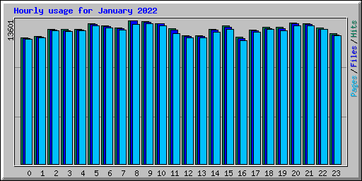 Hourly usage for January 2022