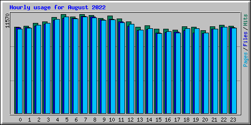 Hourly usage for August 2022