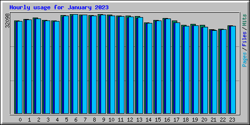 Hourly usage for January 2023