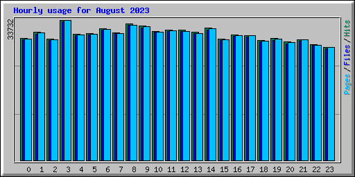 Hourly usage for August 2023