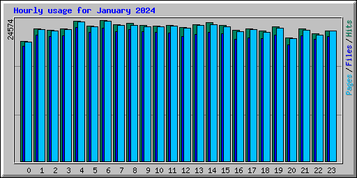 Hourly usage for January 2024