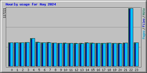 Hourly usage for May 2024