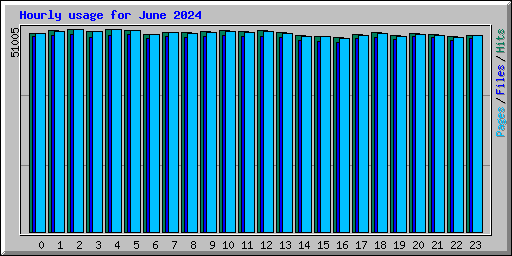 Hourly usage for June 2024