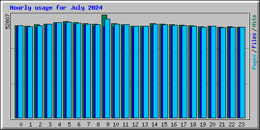 Hourly usage for July 2024