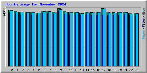 Hourly usage for November 2024