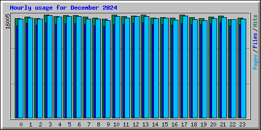 Hourly usage for December 2024