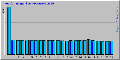 Hourly usage for February 2025