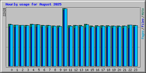 Hourly usage for August 2025