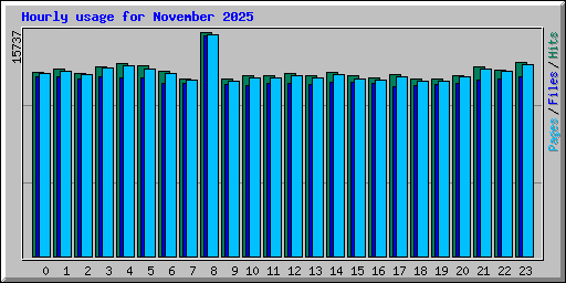 Hourly usage for November 2025