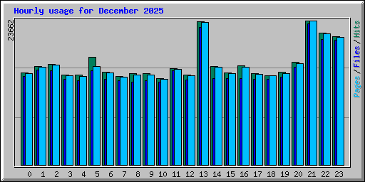 Hourly usage for December 2025