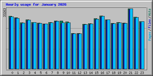 Hourly usage for January 2026